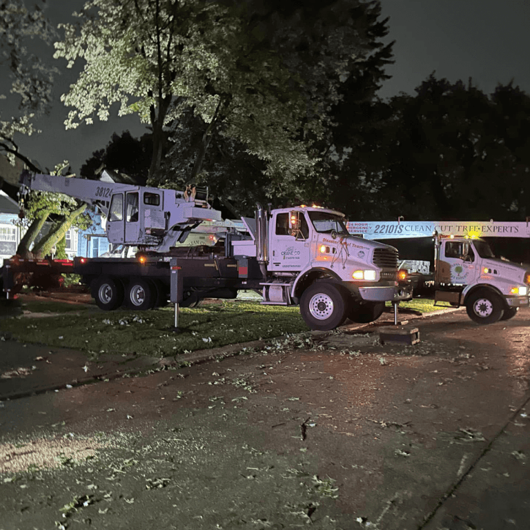 Lot clearing and brush removal in Novi, Michigan