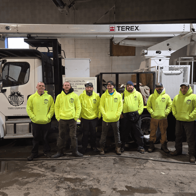 Emergency tree removal team clearing storm damage in Southfield, MI