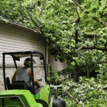 Professional stump grinding after tree removal in Farmington Hills Michigan