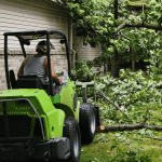Tree Service in Novi, MI
