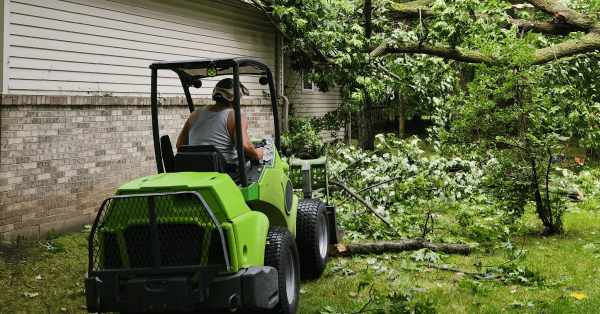 Tree Service in Novi, MI