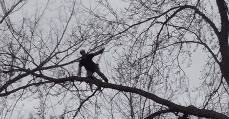 An arborist performing dormant winter pruning on a tree in Howell, Michigan Snow-covered tree branches showing early signs of winter stress