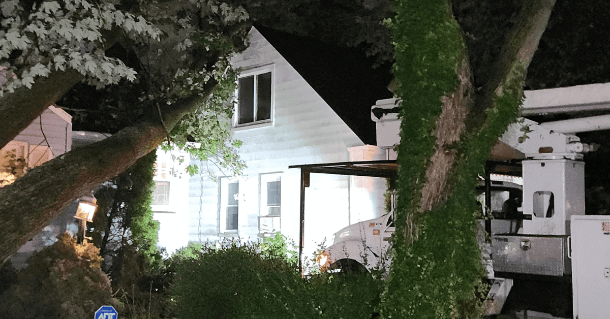 Tree Service Bloomfield Hills, MI