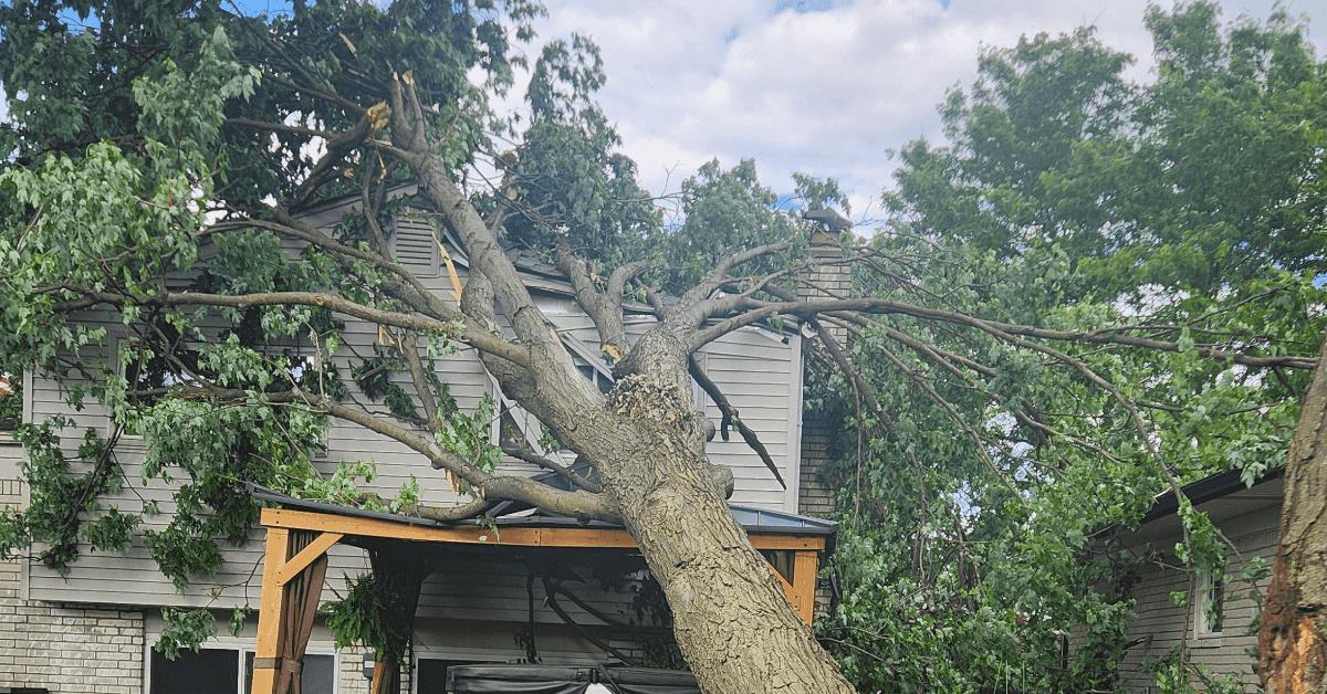 Emergency tree service near me after storm damage on residential property in Farmington Hills neighborhood