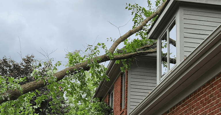 Emergency tree service crew removing a storm-damaged tree in Howell, Michigan