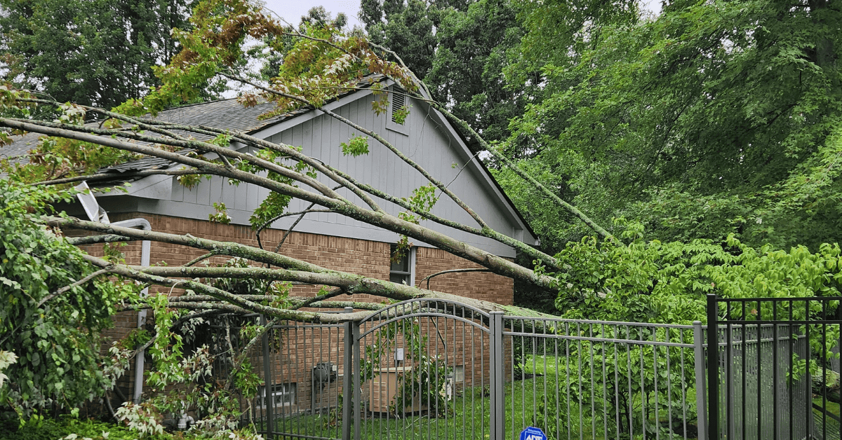Tree removal team at work in West Bloomfield, MI