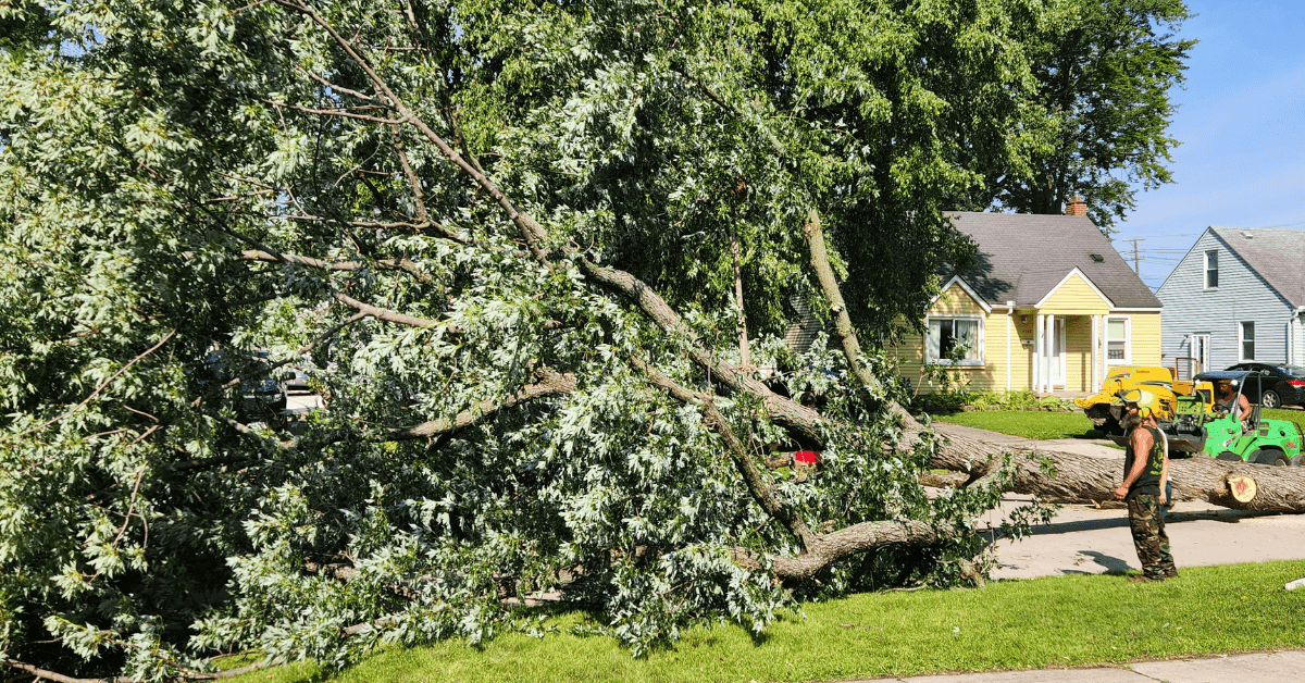 Tree Service Farmington Hills, MI