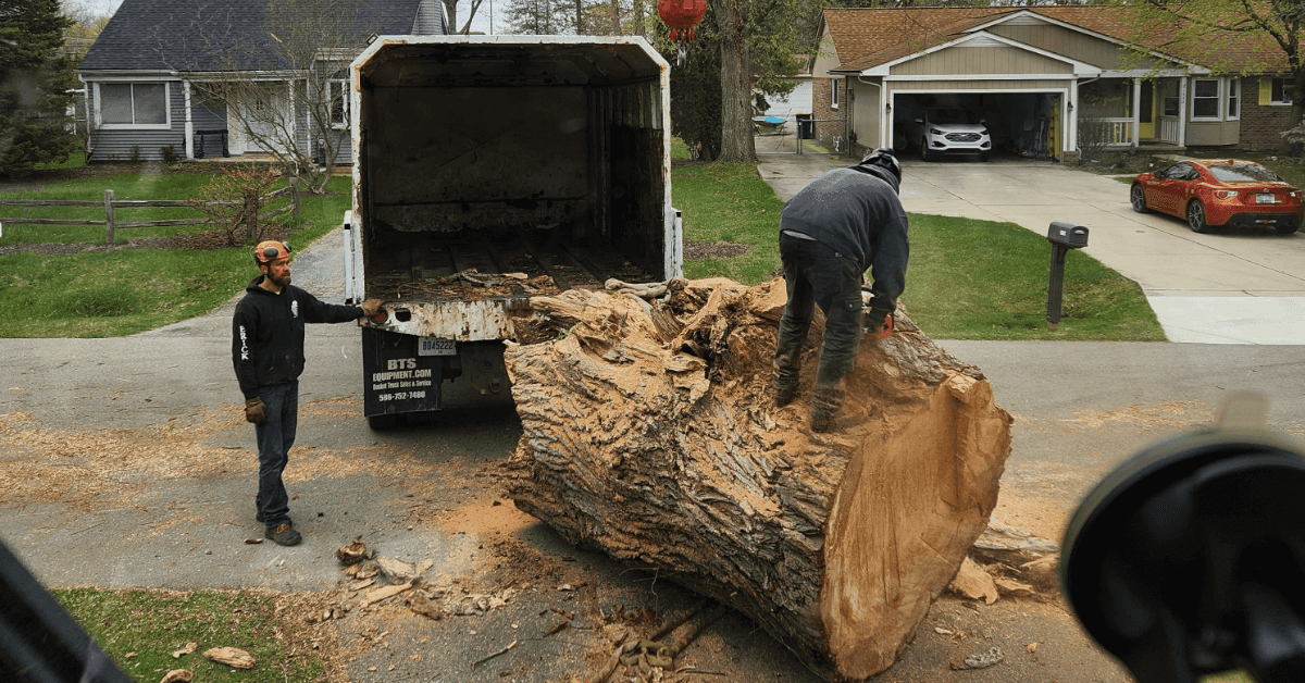 A homeowner in Detroit is inspecting a large backyard tree for removal