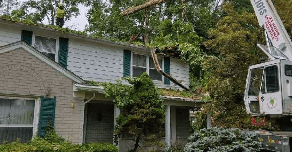 Licensed crew performing emergency tree removal with crane in Detroit, MI