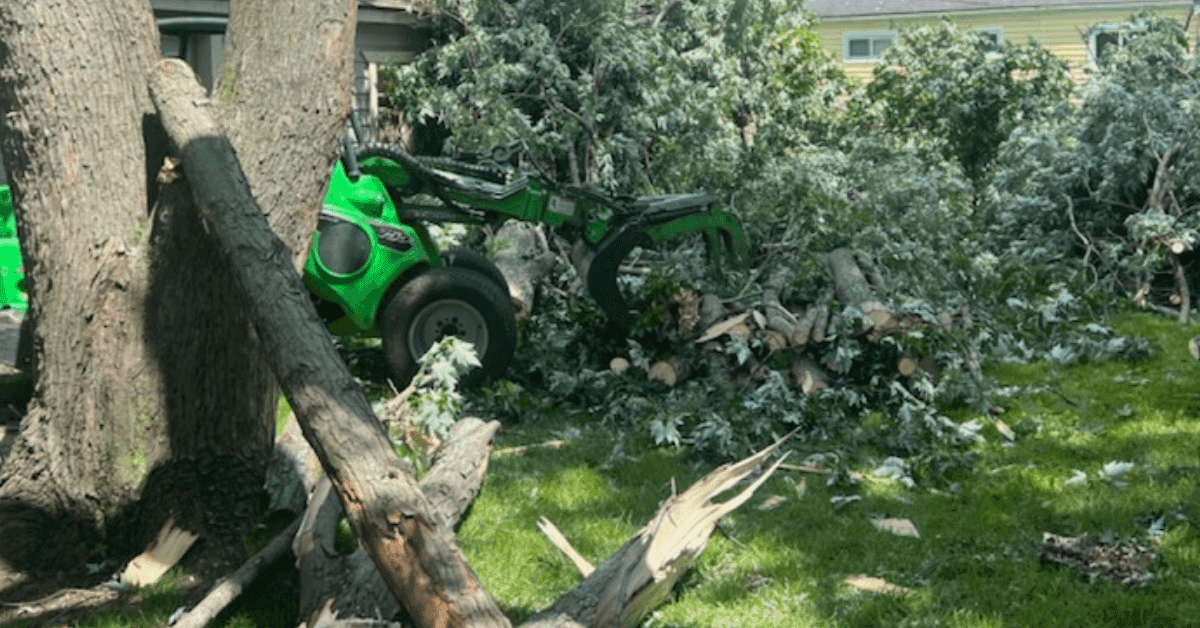 Professional Tree Removal in Farmington Hills, MI