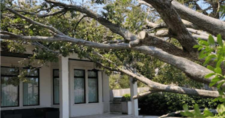 Tree expert pruning storm-damaged branches after heavy winds in Farmington Hills, MI