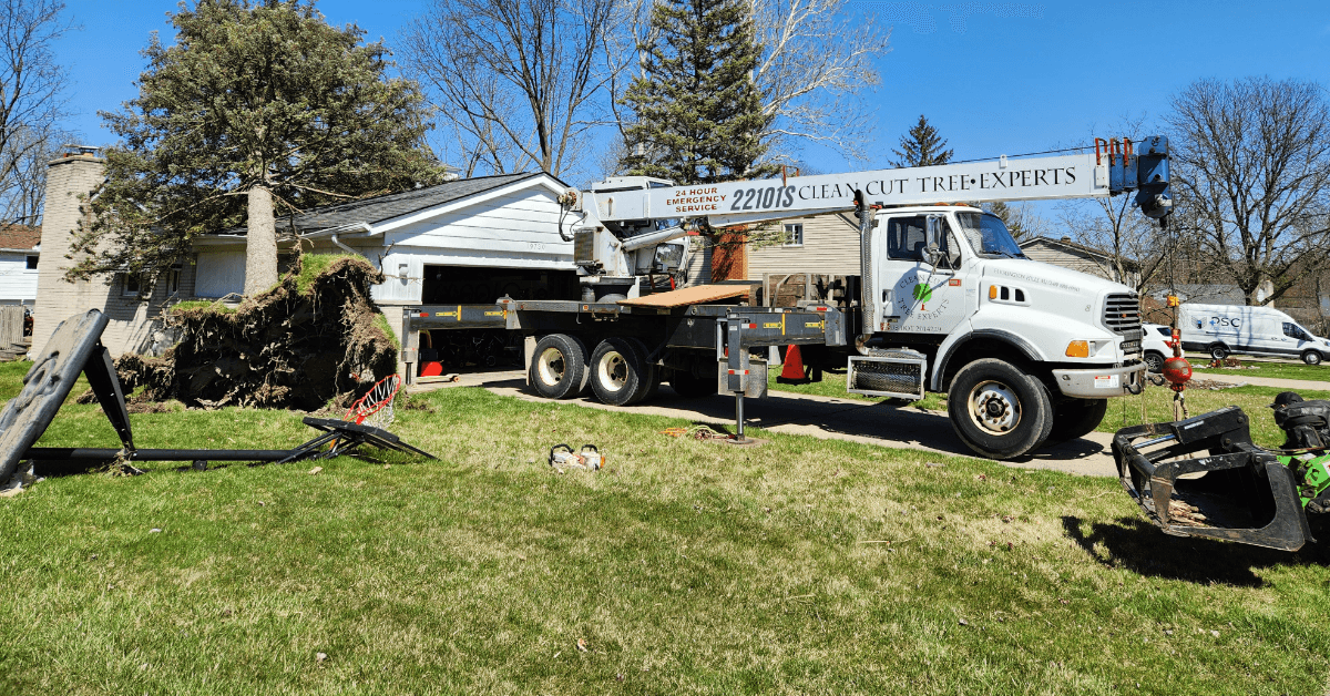 24/7 Emergency Tree Service Across Southeast Michigan – Serving Farmington Hills and Nearby Communities.