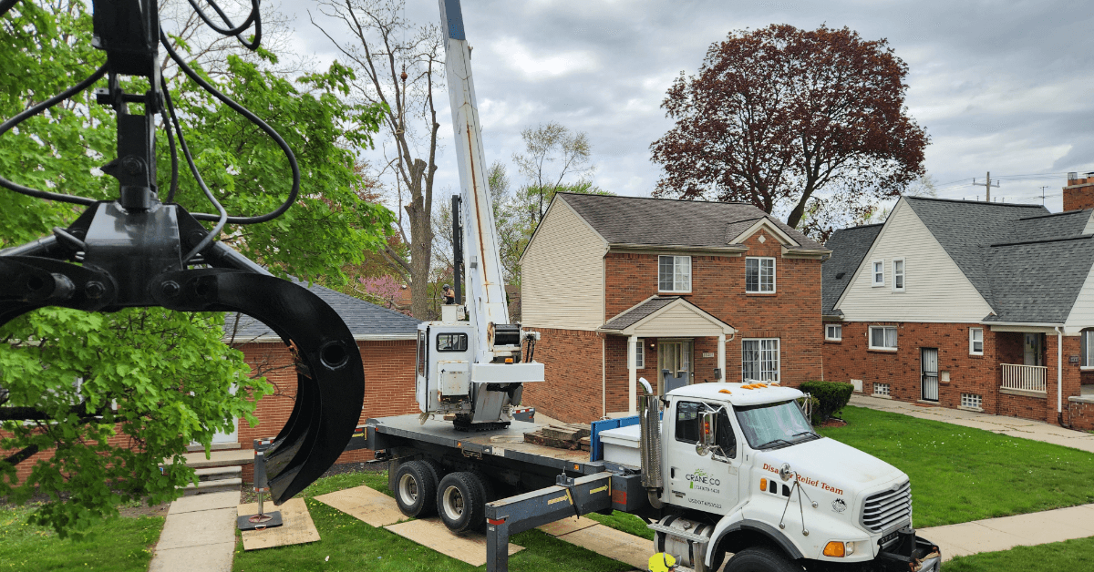 Affordable Tree Service