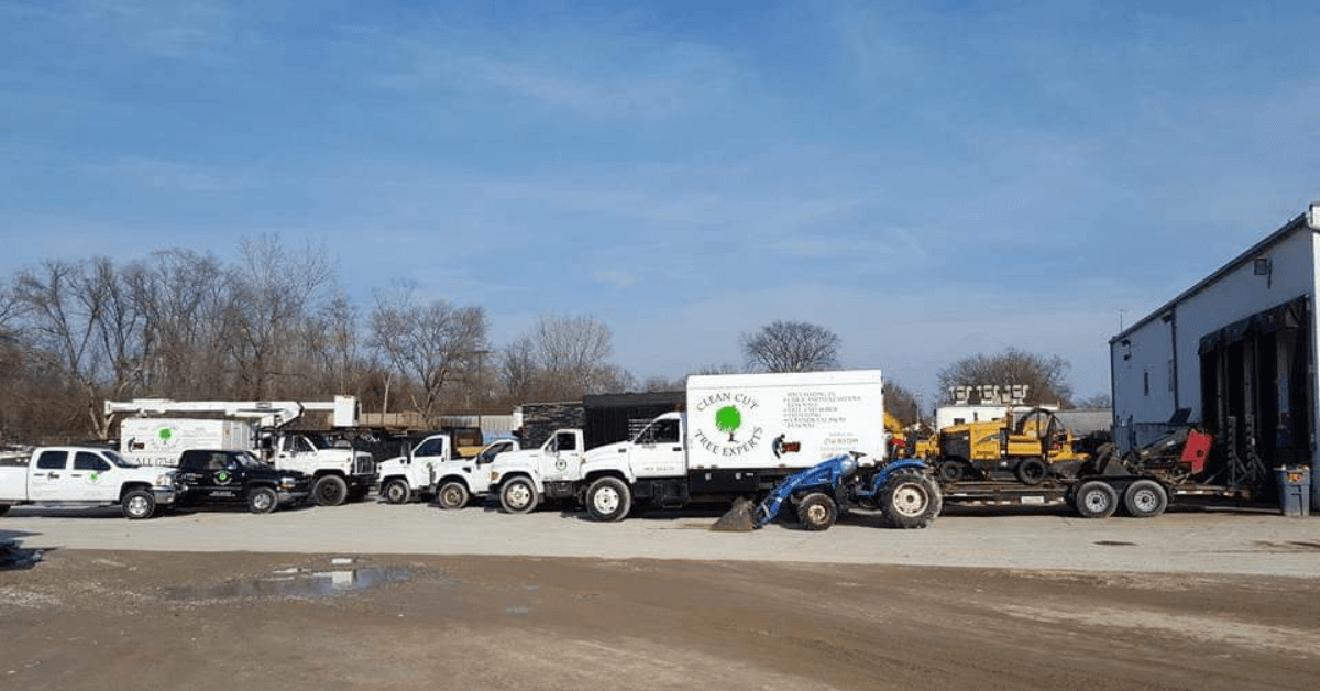 Tree Service Company