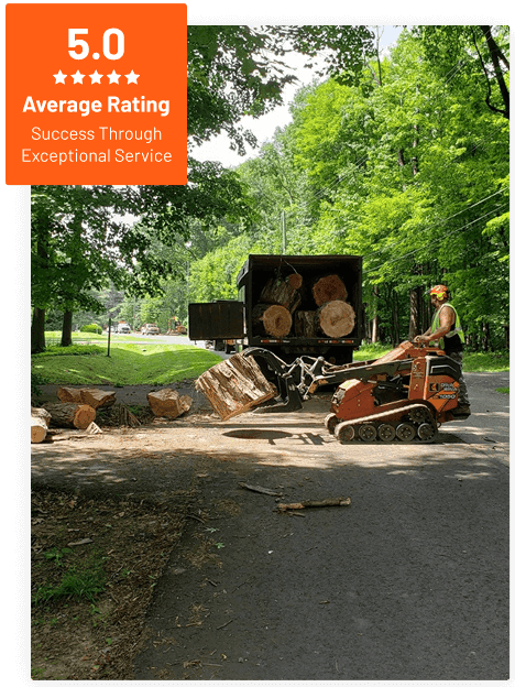 Commercial Tree Service