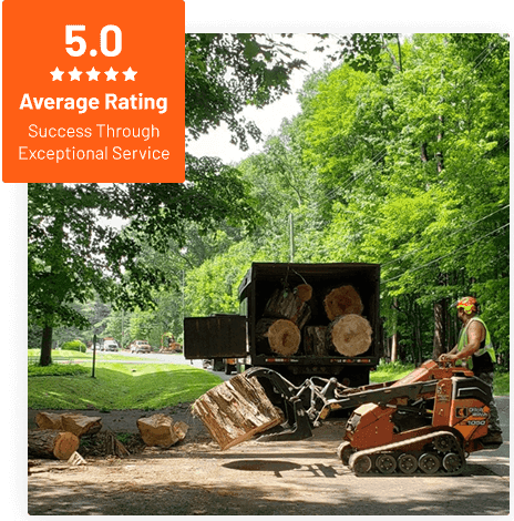 Commercial Tree Service