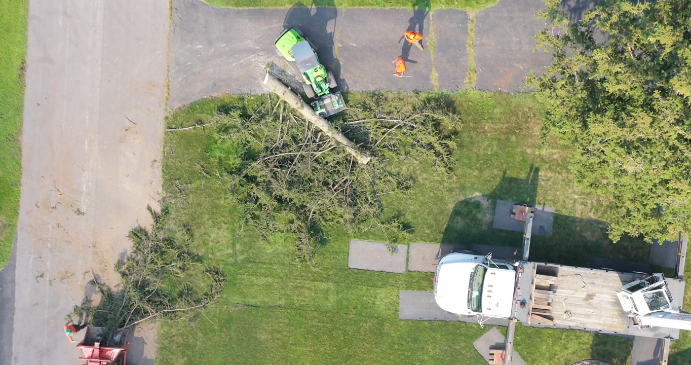 Storm damage tree removal service protecting a Southeast Michigan home after severe weather