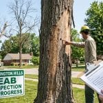Tree Incident Documentation Checklist, Farmington Hills, MI