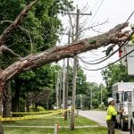 Tree emergency near utility lines in Michigan