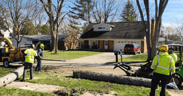 Arborist cutting overgrown tree branches safely in a suburban Michigan neighborhood.