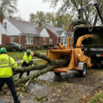 /tree-debris-removal-yard-waste-cleanup-metro-detroit