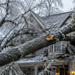 fallen tree damaging residential roof after severe ice storm in Metro Detroit Michigan