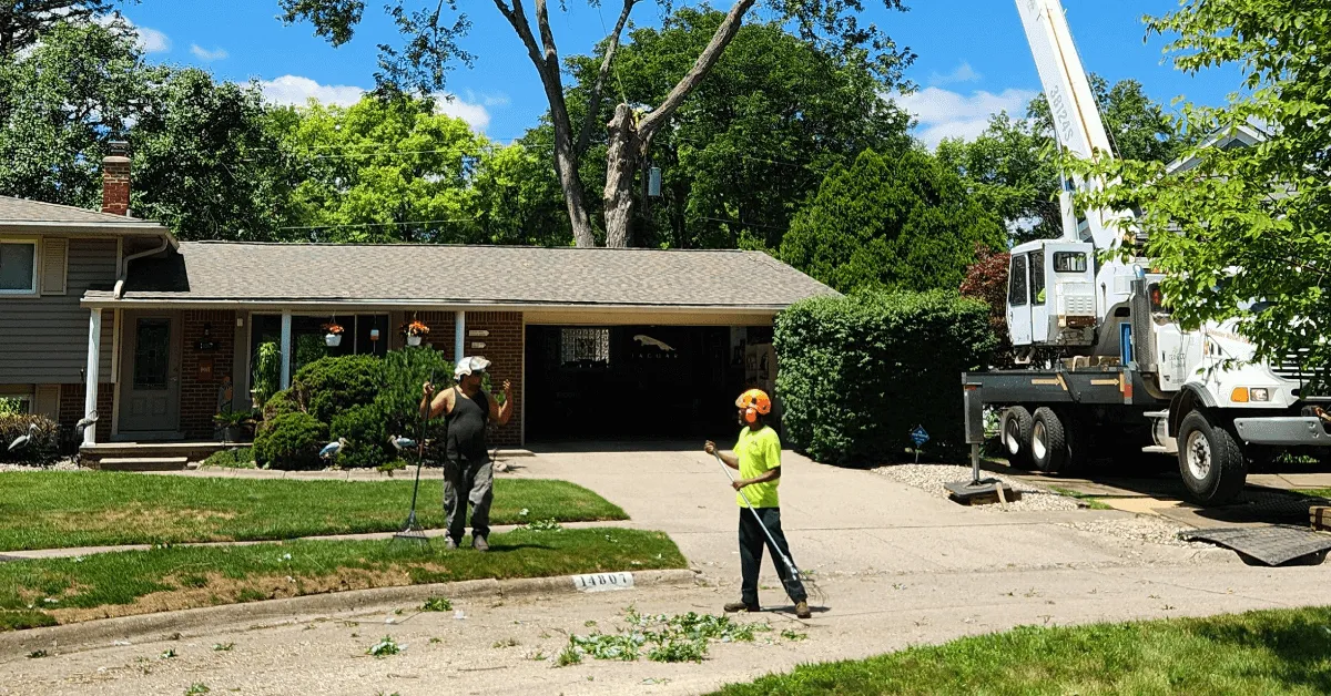 Tree service crew in Northville MI performing safe removal and trimming