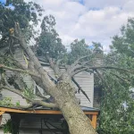 Storm-prone tree leaning after high winds in a Howell, Michigan yard