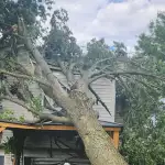 Emergency tree service near me after storm damage on residential property in Farmington Hills neighborhood
