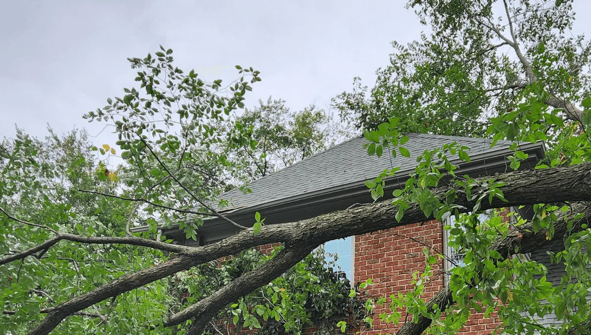 Safeguard Your Home, Neighborhood, and Trees from Michigan’s Harsh Weather
