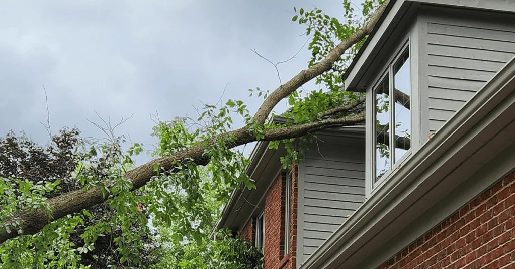 Emergency tree service crew removing a storm-damaged tree in Howell, Michigan
