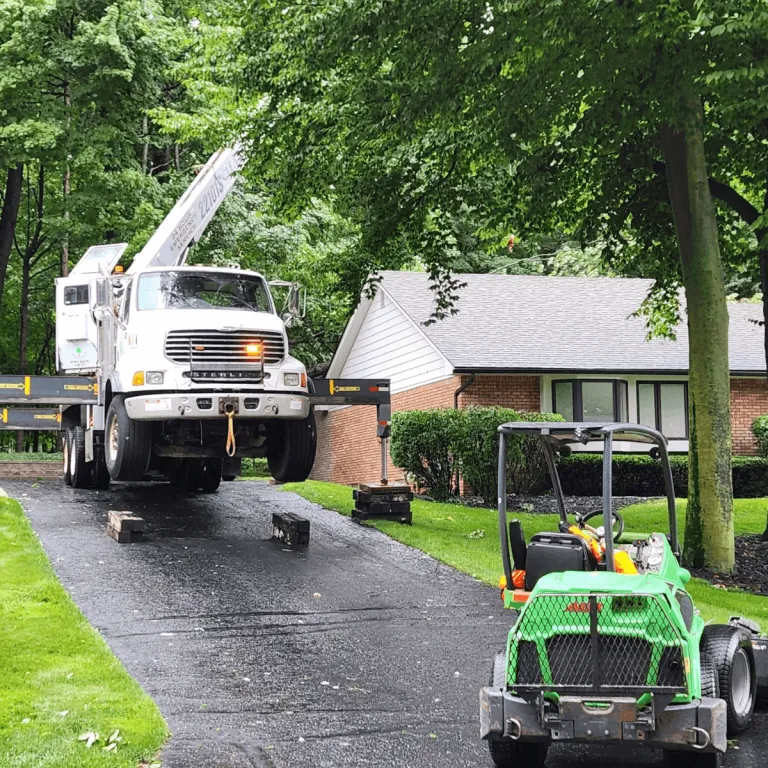 Tree trimming and shaping service in Farmington Hills neighborhood