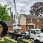 Affordable Tree Service