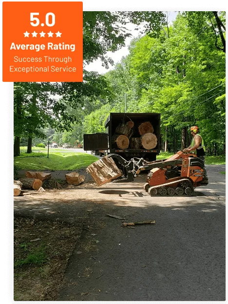 Commercial Tree Service
