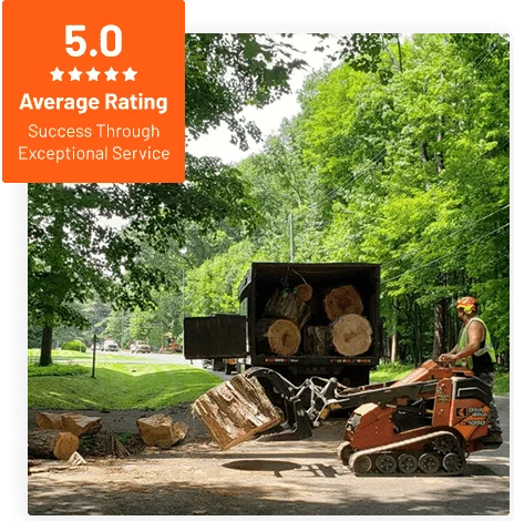 Commercial Tree Service