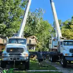Arborist evaluating a mature tree in a residential Farmington Hills yard during a service visit