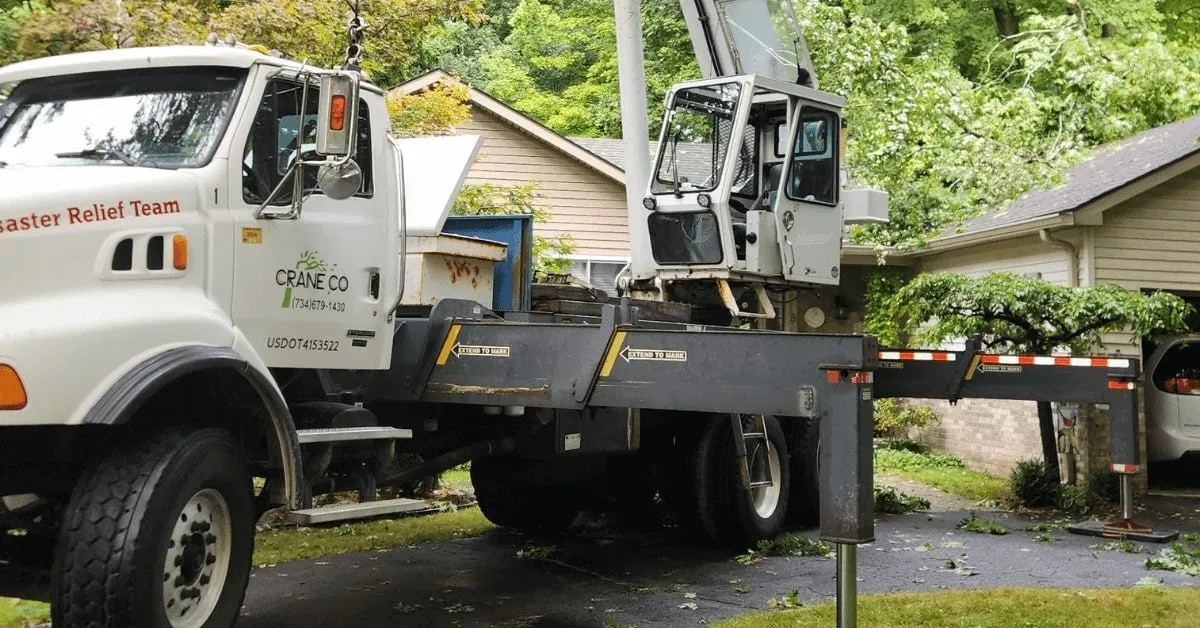 Professional tree service team performing safe tree removal in Livingston County, MI
