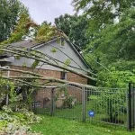 Overhanging tree branches crossing a fence between two homes