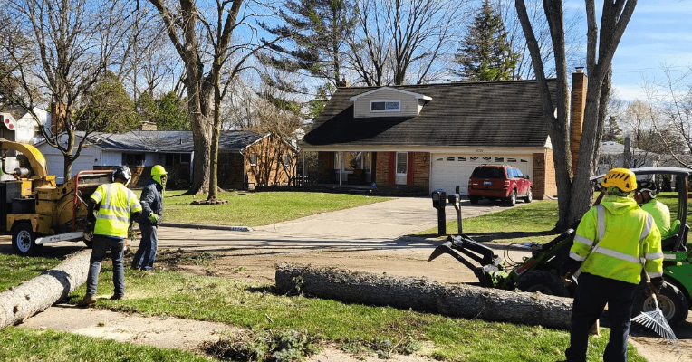 Arborist cutting overgrown tree branches safely in a suburban Michigan neighborhood.