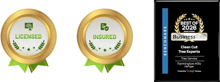 Licensed - Insured - Best of 2026 Award