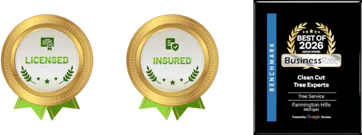 Licensed - Insured - Best of 2026 Award