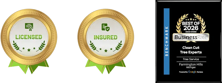 Licensed - Insured - Best of 2026 Award
