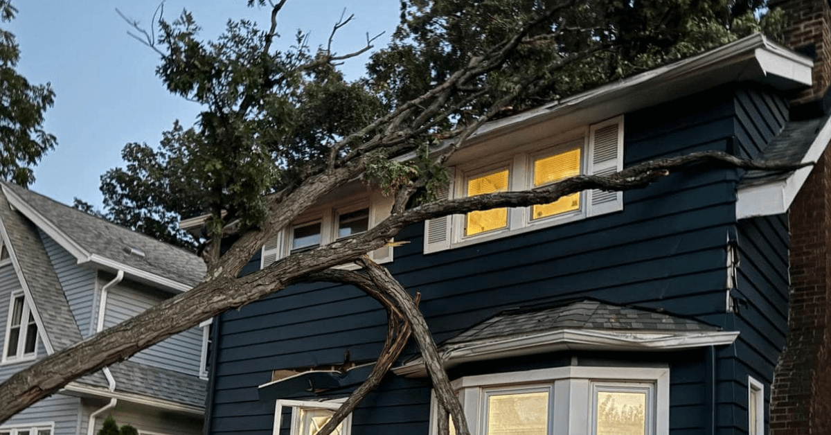 Safe, expert tree removal in Southfield, MI