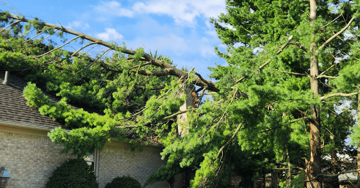 Emergency Tree Removal for HOA Communities Across Southeast Michigan