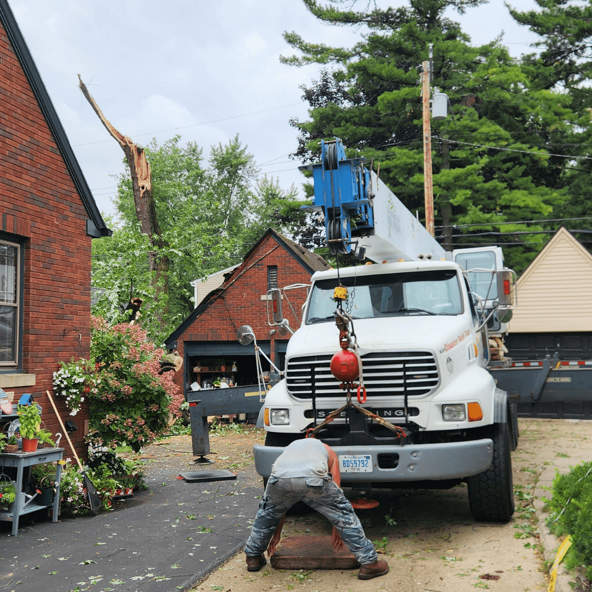 Tree cabling and bracing for weak branches in Farmington Hills, MI