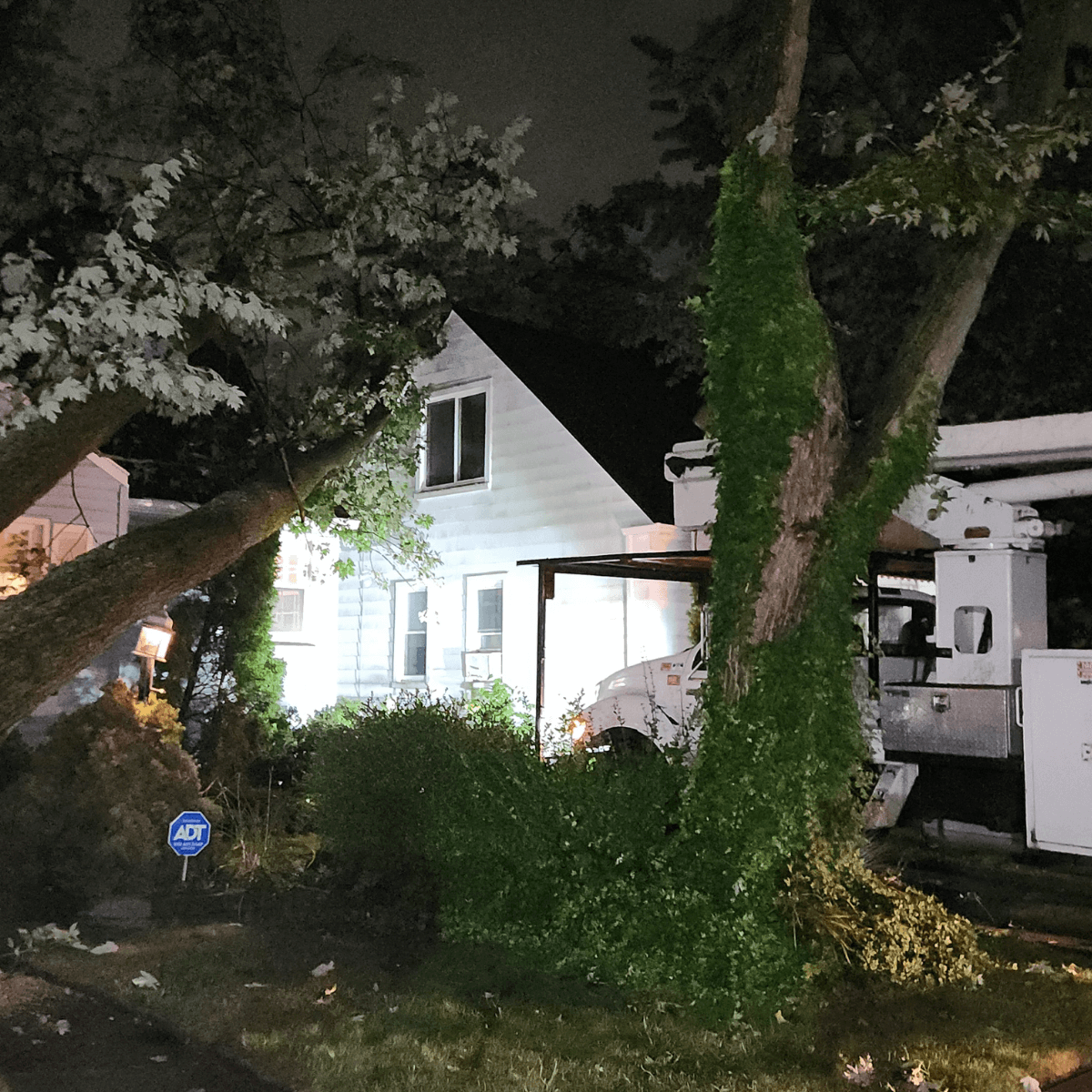 emergency tree service in howell mi