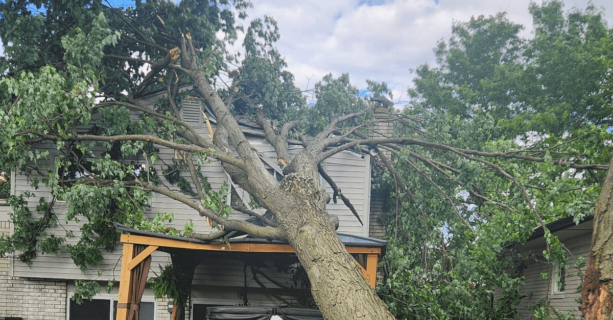 Emergency tree service near me after storm damage on residential property in Farmington Hills neighborhood