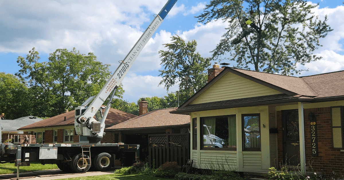 Professional tree service in Southfield, MI – trimming, removal, and emergency cleanup