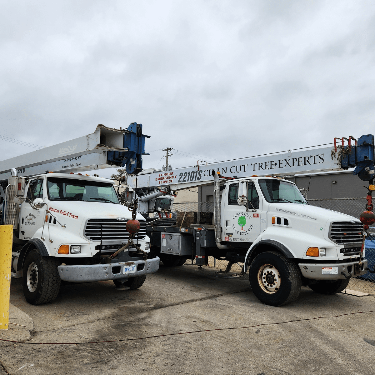tree service in Brighton MI