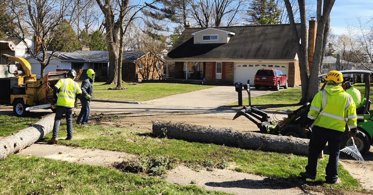 Tree Removal Livonia, MI